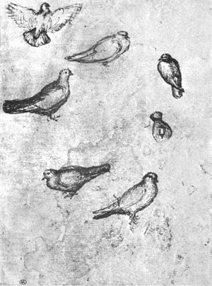 Pisanello, disegni, louvre 2508r