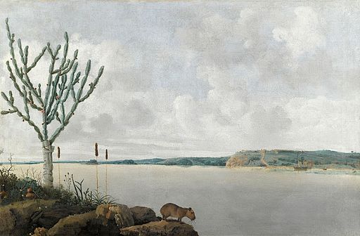 Frans Post 001