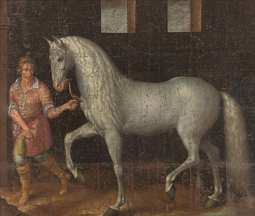 Jacob de Gheyn (II) Spanish battle stallion 1603