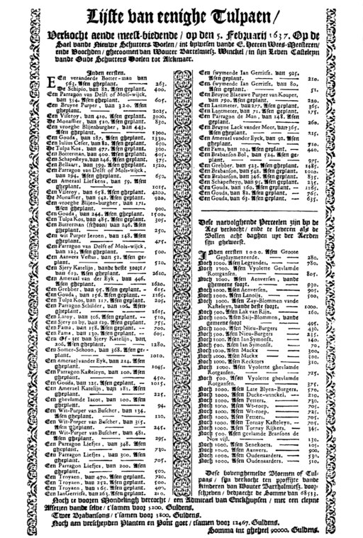 Tulip pricelist alkmaar auction small-2