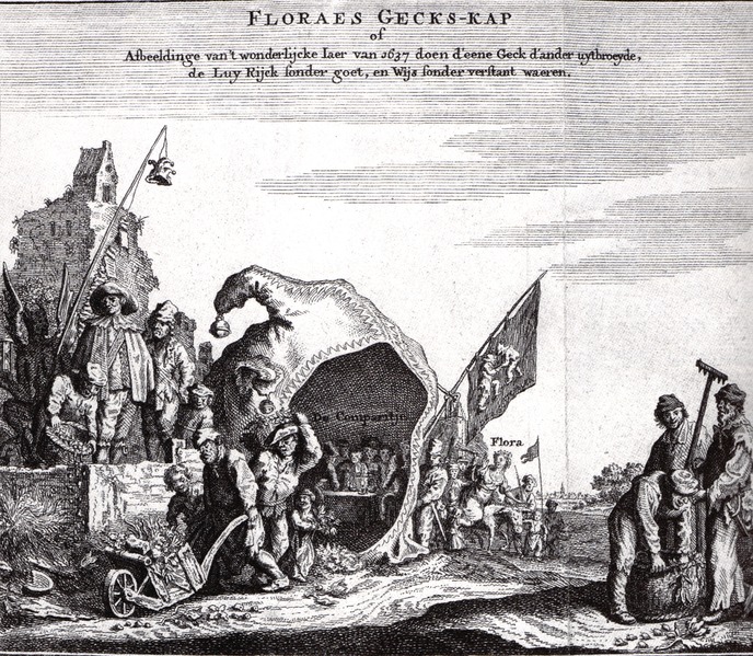 Floras geckskap small